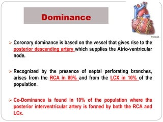 Dominance
 Coronary dominance is based on the vessel that gives rise to the
posterior descending artery which supplies the Atrio-ventricular
node.
 Recognized by the presence of septal perforating branches,
arises from the RCA in 80% and from the LCX in 10% of the
population.
 Co-Dominance is found in 10% of the population where the
posterior interventricular artery is formed by both the RCA and
LCx.
 