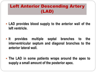Left Anterior Descending Artery
(LAD)
 LAD provides blood supply to the anterior wall of the
left ventricle.
 It provides multiple septal branches to the
interventricular septum and diagonal branches to the
anterior lateral wall.
 The LAD in some patients wraps around the apex to
supply a small amount of the posterior apex.
 