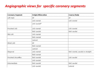 Angiographic views for specific coronary segments
 