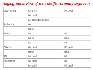 Angiographic view of the specific coronary segments
 
