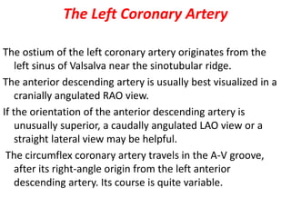 The Left Coronary Artery
The ostium of the left coronary artery originates from the
left sinus of Valsalva near the sinotubular ridge.
The anterior descending artery is usually best visualized in a
cranially angulated RAO view.
If the orientation of the anterior descending artery is
unusually superior, a caudally angulated LAO view or a
straight lateral view may be helpful.
The circumflex coronary artery travels in the A-V groove,
after its right-angle origin from the left anterior
descending artery. Its course is quite variable.
 