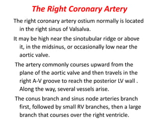 The Right Coronary Artery
The right coronary artery ostium normally is located
in the right sinus of Valsalva.
It may be high near the sinotubular ridge or above
it, in the midsinus, or occasionally low near the
aortic valve.
The artery commonly courses upward from the
plane of the aortic valve and then travels in the
right A-V groove to reach the posterior LV wall .
Along the way, several vessels arise.
The conus branch and sinus node arteries branch
first, followed by small RV branches, then a large
branch that courses over the right ventricle.
 