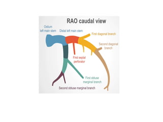 Coronary Angiographic Views final presentation.pptx