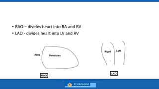Rv Rao Coronary Angiography - Views - Dr Hafeesh Fazulu - PIMS.pptx