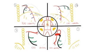 CORONARY ANGIOGRAPHY INTERPRET.pptx