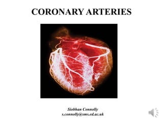 CORONARY ARTERIES




         Siobhan Connolly
     s.connolly@sms.ed.ac.uk
 