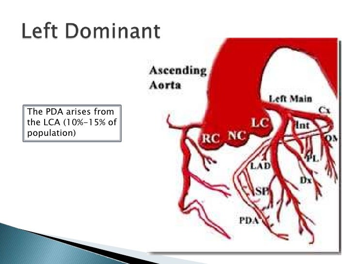 Coronary Arteries