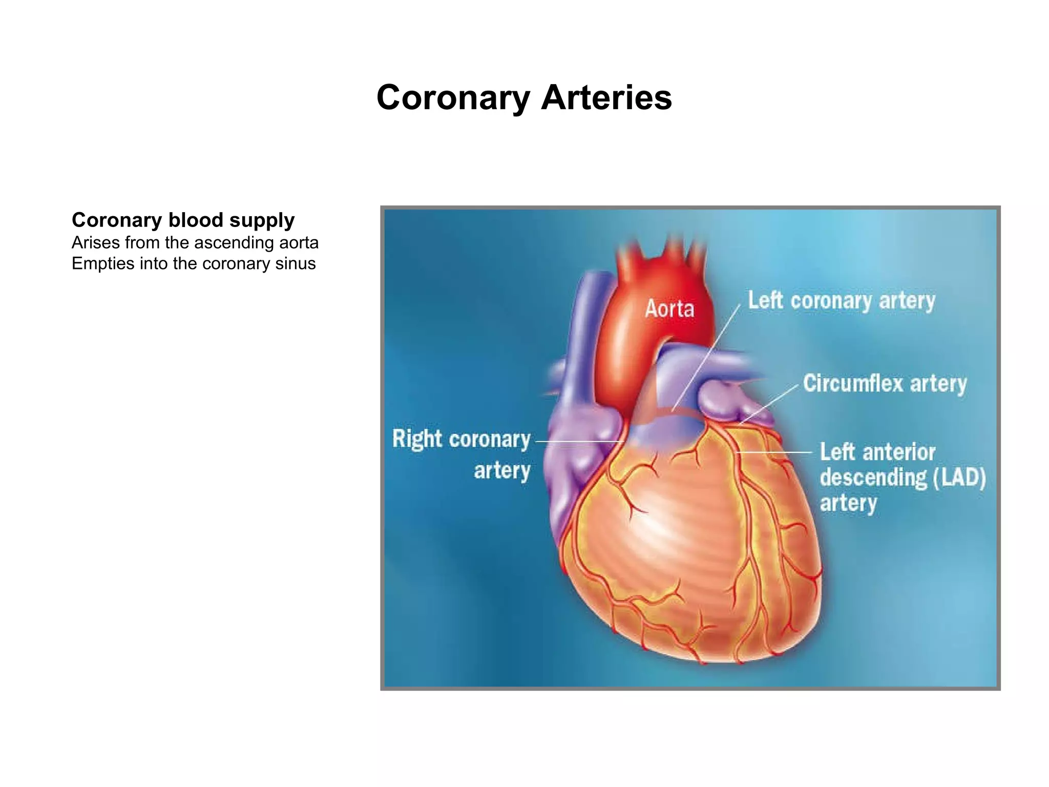 Pathophysiology of Coronary Artery Disease | PPT