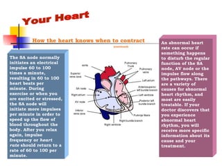 Normal Sa Function Coronary Artery Disease Sec 3 | PPT