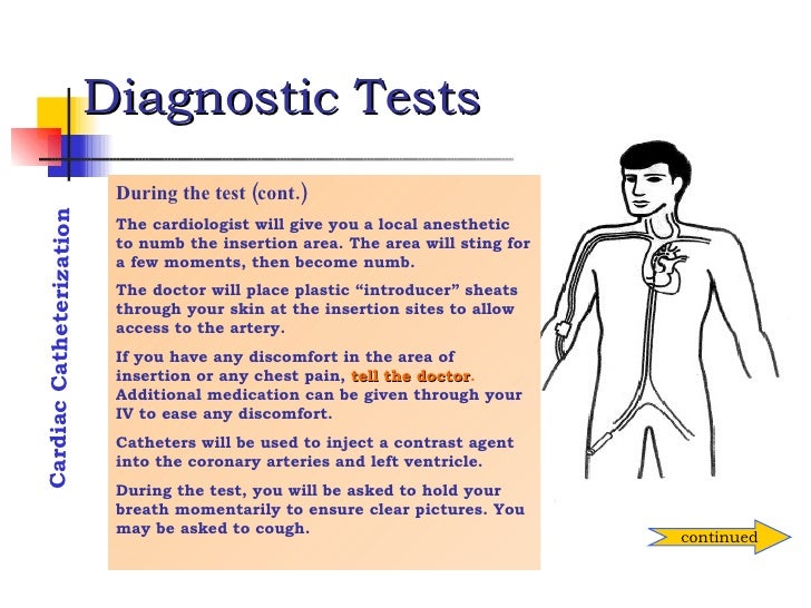 heart through groin test Sec 3 Coronary Artery Disease heart through groin test Sec 3 Coronary Artery Disease