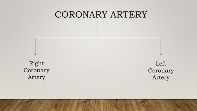 ANATOMY AND PHYSIOLOGY OF CORONARY ARTERY PPT visual data 8