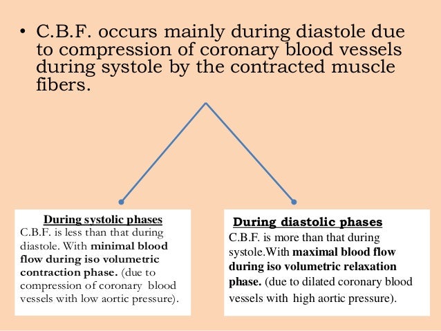 Coronary Circulation