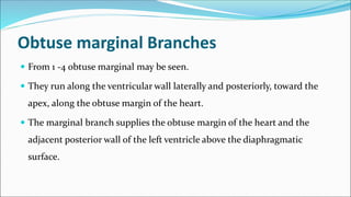 Obtuse Marginal Number Coronary circulation and fetal circulation | PPTX