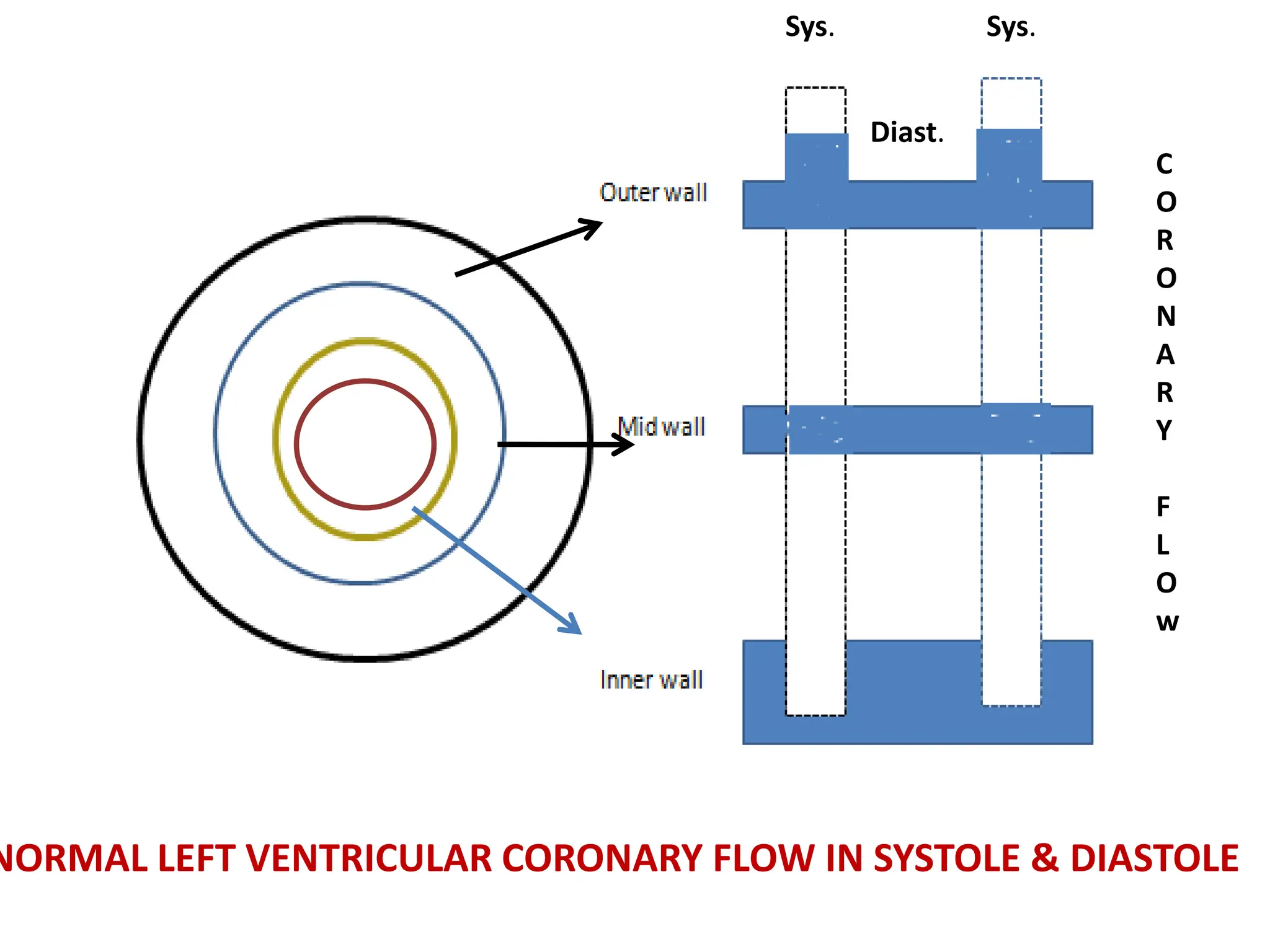 Sys. Sys.
Diast.
C
O
R
O
N
A
R
Y
F
L
O
w
NORMAL LEFT VENTRICULAR CORONARY FLOW IN SYSTOLE & DIASTOLE
 