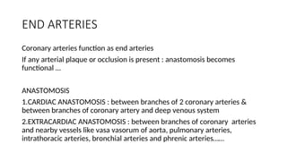 CORONARY CIRCULATION : In the Heart .ppt