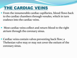 THE CARDIAC VEINS
 From the innumerable cardiac capillaries, blood flows back
to the cardiac chambers through venules, which in turn
coalesce into the cardiac veins.
 Most cardiac veins collect and return blood to the right
atrium through the coronary sinus.
 Cardiac veins contain valves preventing back flow; a
Thebesian valve may or may not cover the ostium of the
coronary sinus.
 