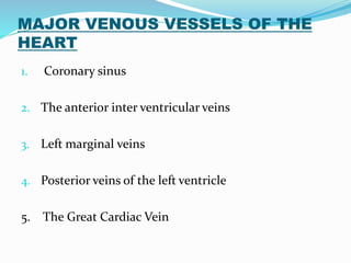 MAJOR VENOUS VESSELS OF THE
HEART
1. Coronary sinus
2. The anterior inter ventricular veins
3. Left marginal veins
4. Posterior veins of the left ventricle
5. The Great Cardiac Vein
 