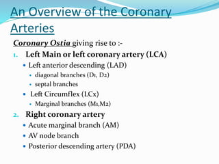 An Overview of the Coronary
Arteries
Coronary Ostia giving rise to :-
1. Left Main or left coronary artery (LCA)
 Left anterior descending (LAD)
 diagonal branches (D1, D2)
 septal branches
 Left Circumflex (LCx)
 Marginal branches (M1,M2)
2. Right coronary artery
 Acute marginal branch (AM)
 AV node branch
 Posterior descending artery (PDA)
 