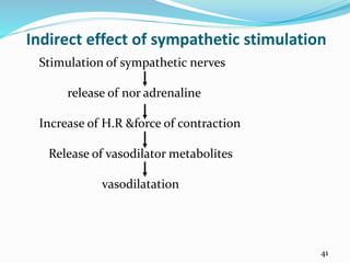 Indirect effect of sympathetic stimulation
Stimulation of sympathetic nerves
release of nor adrenaline
Increase of H.R &force of contraction
Release of vasodilator metabolites
vasodilatation
41
 