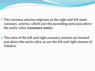  The coronary arteries originate as the right and left main
coronary arteries, which exit the ascending aorta just above
the aortic valve (coronary ostia).
 The ostia of the left and right coronary arteries are located
just above the aortic valve, as are the left and right sinuses of
Valsalva.
 