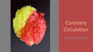Coronary
Circulation
An Overview
 