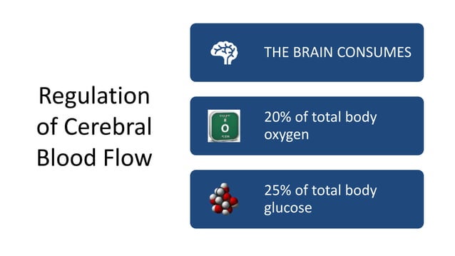 Coronary circulation1903 | PPT