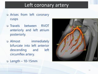Coronary Ct Coronary Ct