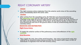 RIGHT CORONARY ARTERY
ORIGIN
 The right coronary artery originates from the anterior aortic sinus of the ascending
aorta, immediately above the aortic valve.
COURSE
 After arising from the ascending aorta, the RCA first runs forwards between
the pulmonary trunk and the right auricle, and after that it descends just about
vertically in the right AV groove (right anterior coronary sulcus) up to the junction of
the right and the inferior borders of the heart. At the inferior border of the heart, it
turns posteriorly and runs in the groove where it ends by anastomosing with the left
coronary artery.
BRANCHES AND DISTRIBUTION
Right Conus Artery
 It supply the anterior surface of the pulmonary conus (infundibulum of the right
ventricle).
Atrial Branches
 They supply the atria. One of the atrial branches – the artery of sinuatrial node (also
referred to as sinuatrial nodal artery) provides the SA node in 60% cases. In 40% of
individuals it originates from the left coronary artery.
 
