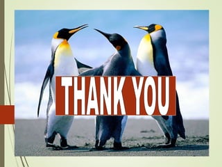 Coronary ct angiography