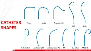 CATHETER
SHAPES
Brilakis, E. (2020). Manual of percutaneous coronary interventions: a step-by-step approach. Academic Press.
 