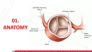 01.
ANATOMY
Loukas, M., Sharma, A., Blaak, C. et al. The Clinical Anatomy of the Coronary Arteries. J. of Cardiovasc. Trans. Res. 6, 197–207 (2013). DOI: https://doi.org/10.1007/s12265-013-9452-5
 
