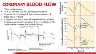CORONARY BLOOD FLOW
Alex Yartsev (2020). Coronary blood flow. Deranged Physiology.
A
B
• 5% of cardiac output
• 75% LM flow and 50% RCA flow occurs in diastole
• In systole, LV contraction  high chamber pressure 
blood flow is reduced
• RV systolic pressure is lower  blood flow is less affected
• In diastole, ventricular relaxation  sucks the blood (in the
aorta and the catheter) into coronary artery
 