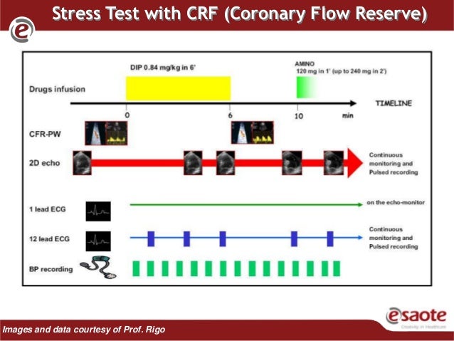 Dipyridamole Stress Testing