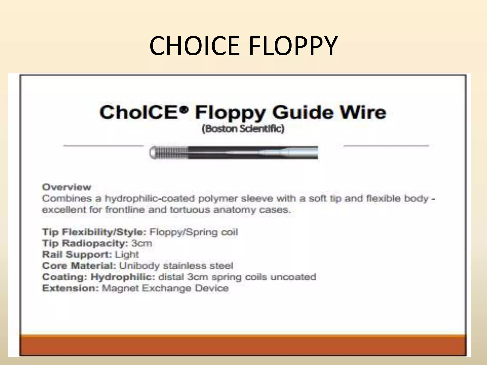 CHOICE FLOPPY
 