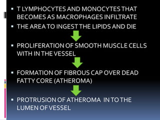  T LYMPHOCYTESAND MONOCYTESTHAT
BECOMESAS MACROPHAGES INFILTRATE
 THE AREATO INGESTTHE LIPIDS AND DIE
 PROLIFERATIONOF SMOOTH MUSCLE CELLS
WITH INTHEVESSEL
 FORMATION OF FIBROUS CAP OVER DEAD
FATTY CORE (ATHEROMA)
 PROTRUSION OF ATHEROMA INTOTHE
LUMEN OFVESSEL
 