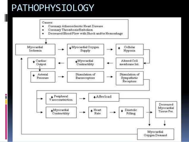 Pathophysiology Of Coronary Heart Disease In Flow Chart