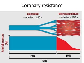 Coronary resistance
 