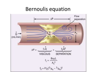 Bernoulis equation
 