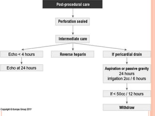 Post-procedural care
 