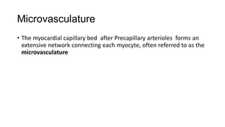 Microvasculature
• The myocardial capillary bed after Precapillary arterioles forms an
extensive network connecting each myocyte, often referred to as the
microvasculature

 
