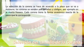 La selección de la corona se hace de acuerdo a la pieza que se va a
restaurar, las coronas se venden por tamaños y códigos, por ejemplo en
la marca frasaco. Cada corona tiene la forma anatómica exacta de la
pieza que le corresponde
 