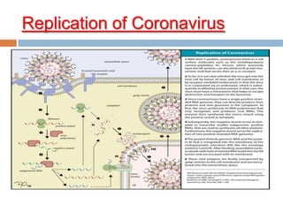 CoronavirusReplication of
 
