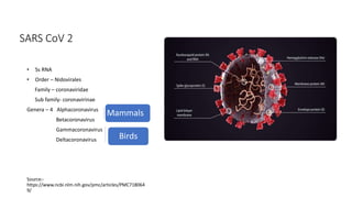 SARS CoV 2
• Ss RNA
• Order – Nidovirales
Family – coronaviridae
Sub family- coronavirinae
Genera – 4 Alphacoronavirus
Betacoronavirus
Gammacoronavirus
Deltacoronavirus
Source:-
https://www.ncbi.nlm.nih.gov/pmc/articles/PMC718064
9/
Birds
Mammals
 