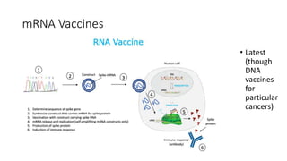 mRNA Vaccines
• Latest
(though
DNA
vaccines
for
particular
cancers)
 