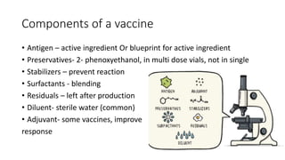 Components of a vaccine
• Antigen – active ingredient Or blueprint for active ingredient
• Preservatives- 2- phenoxyethanol, in multi dose vials, not in single
• Stabilizers – prevent reaction
• Surfactants - blending
• Residuals – left after production
• Diluent- sterile water (common)
• Adjuvant- some vaccines, improve
response
 