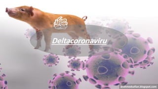 Deltacoronaviru
drahmedsafian.blogspot.com
 