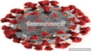Gammacoronavirus
drahmedsafian.blogspot.com
 