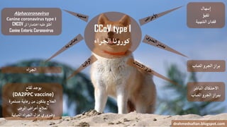 CCoV type I
‫اجلراء‬ ‫كورونا‬
‫إسهال‬
‫تقيؤ‬
‫الشهية‬ ‫فقدان‬
‫املصاب‬ ‫اجلرو‬ ‫براز‬
‫املباشر‬ ‫االحتكاك‬
‫املصاب‬ ‫اجلرو‬ ‫برباز‬
drahmedsafian.blogspot.com
‫لقاح‬ ‫يوجد‬
(DA2PPC vaccine)
‫مستمرة‬ ‫رعاية‬ ‫من‬ ‫يتكون‬ ‫العالج‬
‫املرض‬ ‫أعراض‬ ‫لعالج‬
‫املصابة‬ ‫اجلراء‬ ‫عزل‬ ‫وضروري‬
‫اجلراء‬
Alphacoronavirus
Canine coronavirus type I
CNCOV ‫اختصارا‬ ‫عليه‬ ‫أطلق‬‫لل‬
Canine Enteric Coronavirus
 