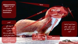 FRCoV
‫النمس‬ ‫كورونا‬
،‫الرائحة‬ ‫كريه‬ ‫إسهال‬
‫جفاف‬ ،‫تقيؤ‬ ،‫مخول‬
‫ويف‬ ‫الشهية‬ ‫يف‬ ‫فقدان‬
‫الوزن‬
‫النمس‬
‫املباشر‬ ‫االحتكاك‬
‫رذاذ‬ ‫أو‬ ‫براز‬ ‫أو‬ ‫بطعام‬
‫املصاب‬ ‫النمس‬
drahmedsafian.blogspot.com
‫لقاح‬ ‫يوجد‬ ‫ال‬
‫لعدوى‬ ‫حيوية‬ ‫مضادات‬
‫البكترييا‬
‫رعاية‬ ‫من‬ ‫يتكون‬ ‫العالج‬
‫أعراض‬ ‫لعالج‬ ‫مستمرة‬
‫املرض‬
‫النمس‬ ‫عزل‬ ‫وضروري‬
‫املصاب‬
‫النمس‬
Alphacoronavirus
FRECV ‫عليه‬ ‫أطلق‬
‫اختصارا‬‫لل‬
Ferret Enteric
Coronavirus
 