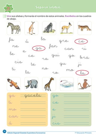 26
Edición Especial Gratuita Cuarentena Coronavirus 1º Educación Primaria
20
Separar sílabas
Une sus sílabas y formarás el nombre de estos animales. Escríbelos en los cuadros
de abajo.
ga
ti
mo
can
á
go
ce
e
ji
cis
gacela
áfa la ce
la
fan
gu
guice
cis
bra
le
no
ri
ra
ro
ti
ga
go
mo
ji
gre
ne
te
la
can
e
 